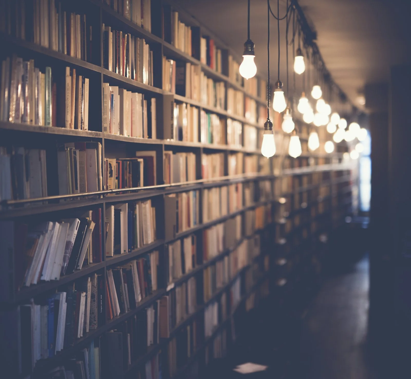 إصدارات حديثة